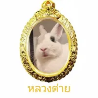 original sound - chxcrm21