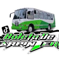 elboletadecarpintero