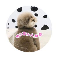 mozuku__channel