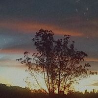 meninados_olhosde_deus