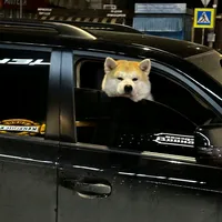 original sound - shibaldu