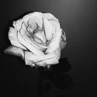 原声 - 俗人称帝