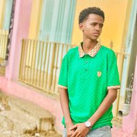 malik32334
