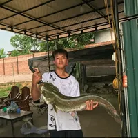 original sound - giang.lao20