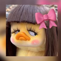 cila2555