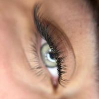 lash.hub54
