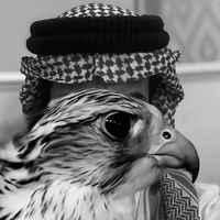 الصوت الأصلي