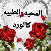 المحبه الطيبه كالوورد