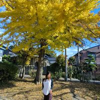 original sound - Thae🍀🌻