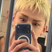 original sound - gun