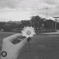 jimena_am2