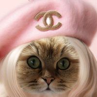 オリジナル楽曲 - あけちゃん🧑‍🦲