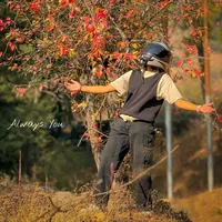 original sound - noorullain388