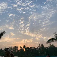 original sound - heartsingh83