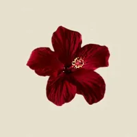 Tus ojos si son Zafiros deslumbrantes...