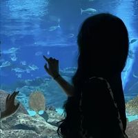 abi_xfp2