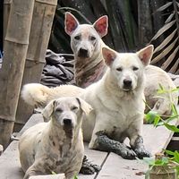 lukkaew1309