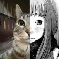 so_phia16