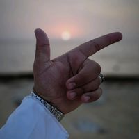 الصوت الأصلي