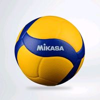 voliball73