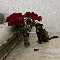 1_isida_1