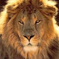 frasesinspiradoras63