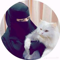 www.akyaryan