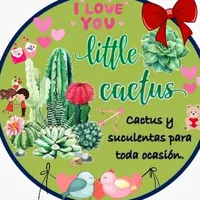 original sound - little.cactus25