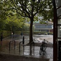 الصوت الأصلي