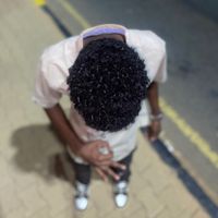 wdalzein19