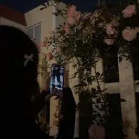 original sound - diana.pr1ncess