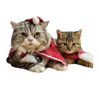 minion.cat.89