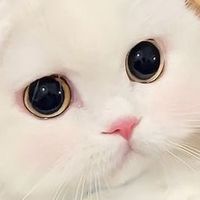 momochan168cm