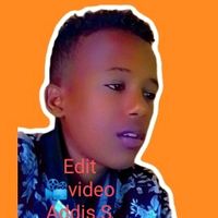 addis.s219