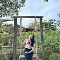 nhạc nền - Xuân Mai 🐹