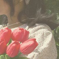 tulipssno3