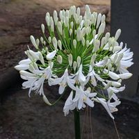 user0447354