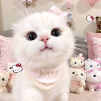 kiki3567891