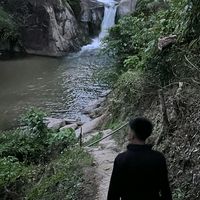 suara asli - Vert?!