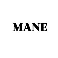 mane_shop8