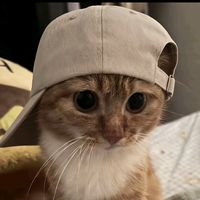 original sound - GABO