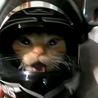 original sound - Pogi ni ??