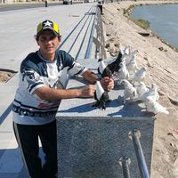 hto_vipp