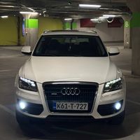 bengica677