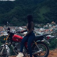 montejo600