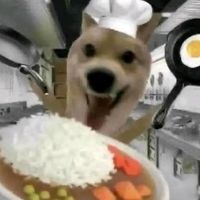 เสียงต้นฉบับ - 百合