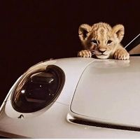 оригинальный звук