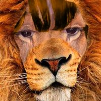 lifer.ion