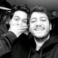 orijinal ses