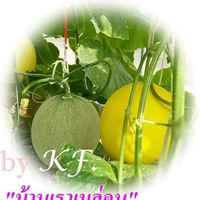 เสียงต้นฉบับ - บ้านเราเมล่อน